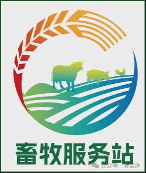 如何快速高效打造特色黨建品牌矩陣
